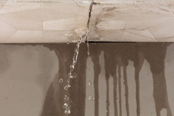 Professional Water Damage Inspection technician working in Wagner, SD